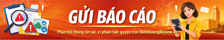 Gửi báo cáo