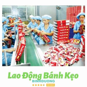 Công Ty TNHH Cung Ứng Nhân Lực Tâm Đức Bình Dương