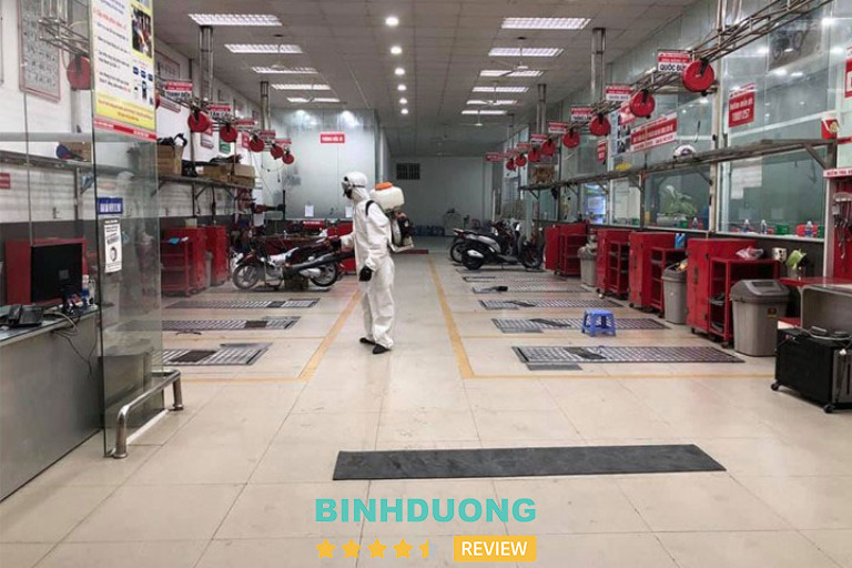 Công ty diệt mối Tâm Phát Bình Dương