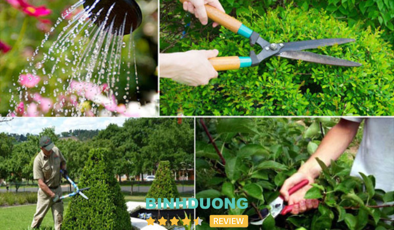 Cửa Hàng Ngoại Thất Xanh Bình Dương