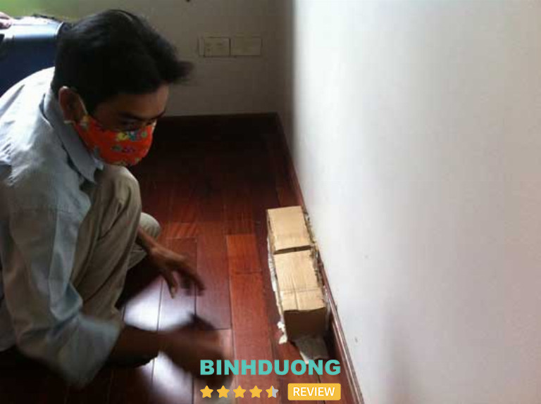 Diệt Mối Và Diệt Côn Trùng Trường Phát, TP. Dĩ An