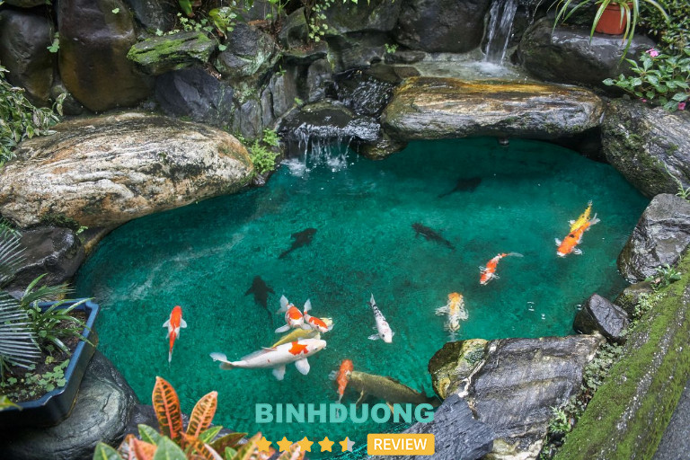 Hòn Non Bộ - Cá Koi Như Ý, Bình Dương