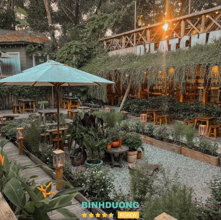 D'latcha Tea & Bistro Thủ Dầu Một