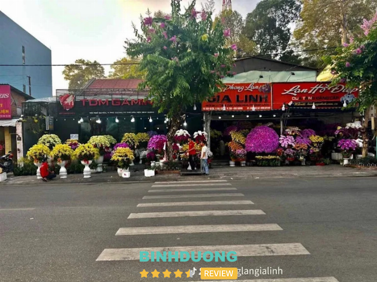 Shop Phong Lan Gia Linh, Bình Dương