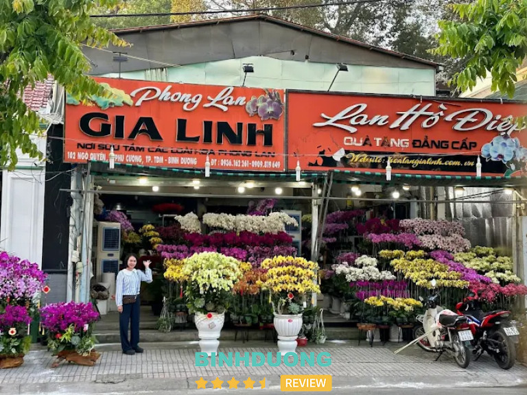 Phong Lan Gia Linh, TP. Thủ Dầu Một