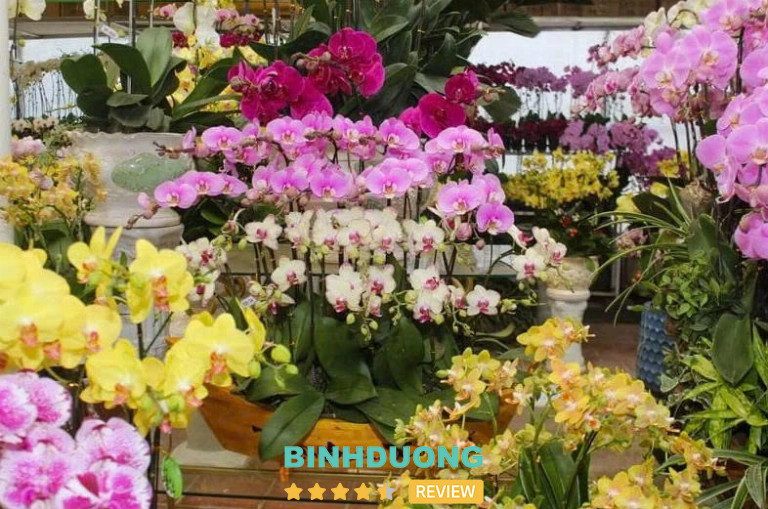 Thiên Đường Hoa, TP. Thủ Dầu Một