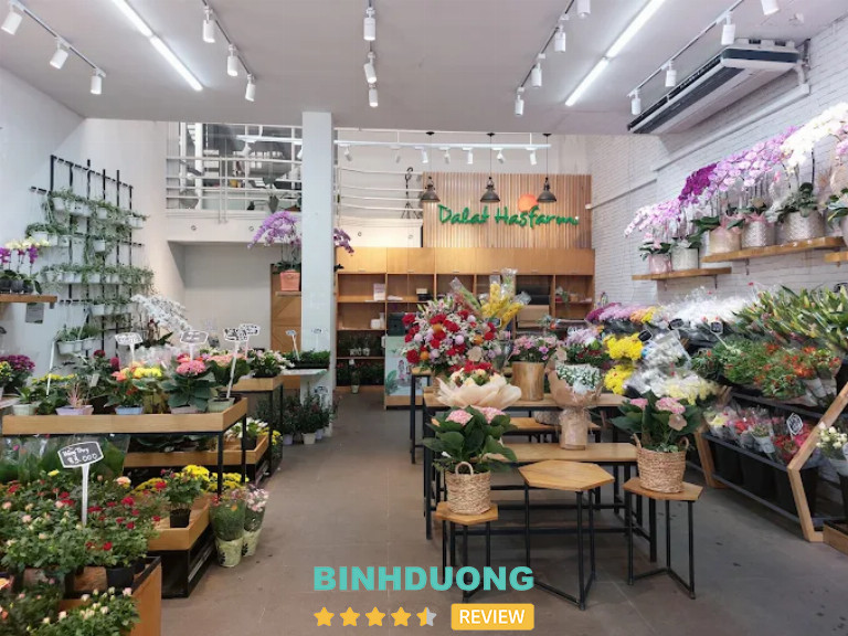 Dalat Hasfarm, TP. Thủ Dầu Một