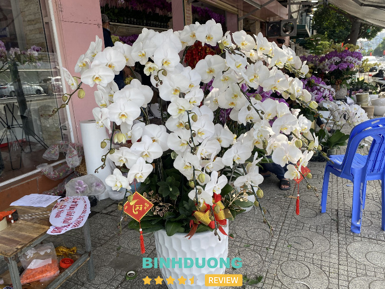 Hoa Lan Phương, TP. Thủ Dầu Một