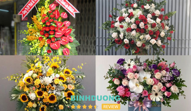 Shop Hoa An Thảo, H. Phú Giáo 