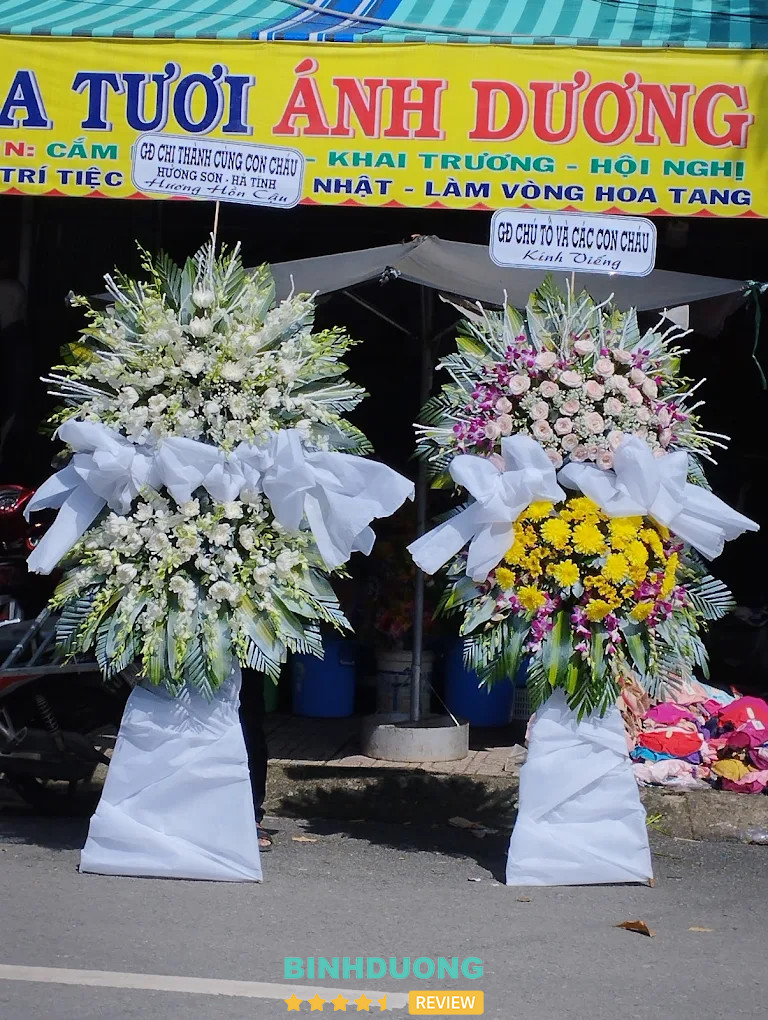 Bài viết đánh giá về Hoa Tươi Ánh Dương: 18 Tháng 9, tt. Phước Vĩnh, Phú Giáo