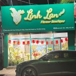 Bài viết đánh giá về Shop Hoa Linh Lan: 104A Cách Mạng Tháng Tám, Lái Thiêu, Thuận An