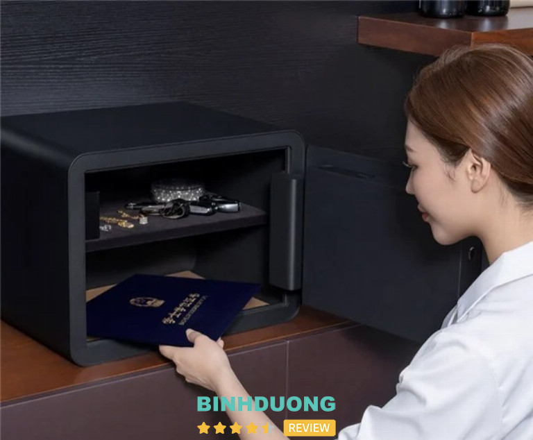 Điện Máy Như Ý, Bình Dương