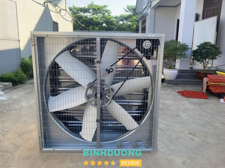 Vương Gia Phát, Bình Dương