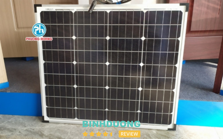 Công Ty TNHH Phượng Hoàng, Bình Dương