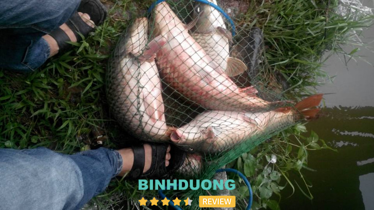 Hồ câu Cây Sung, Bình Dương