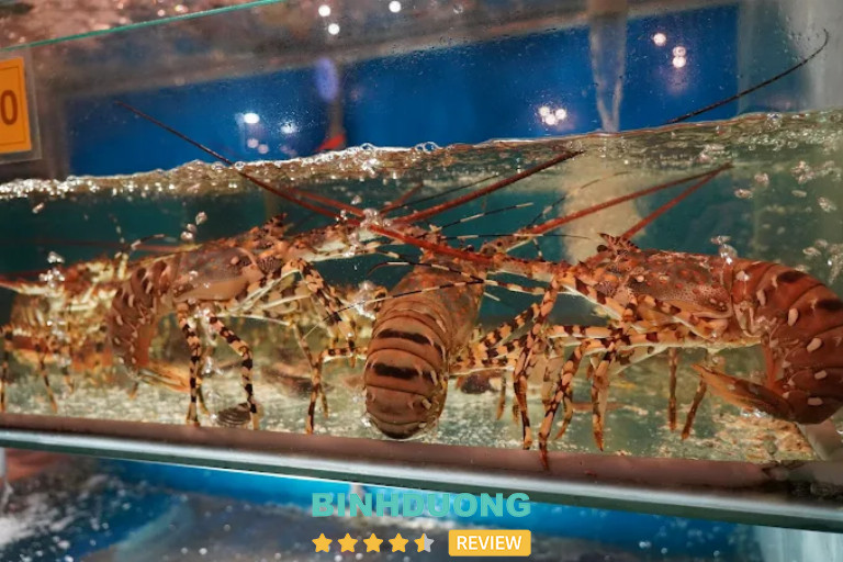 Nhà hàng Hải Sản & Hầm Rượu YUMI, Bình Dương