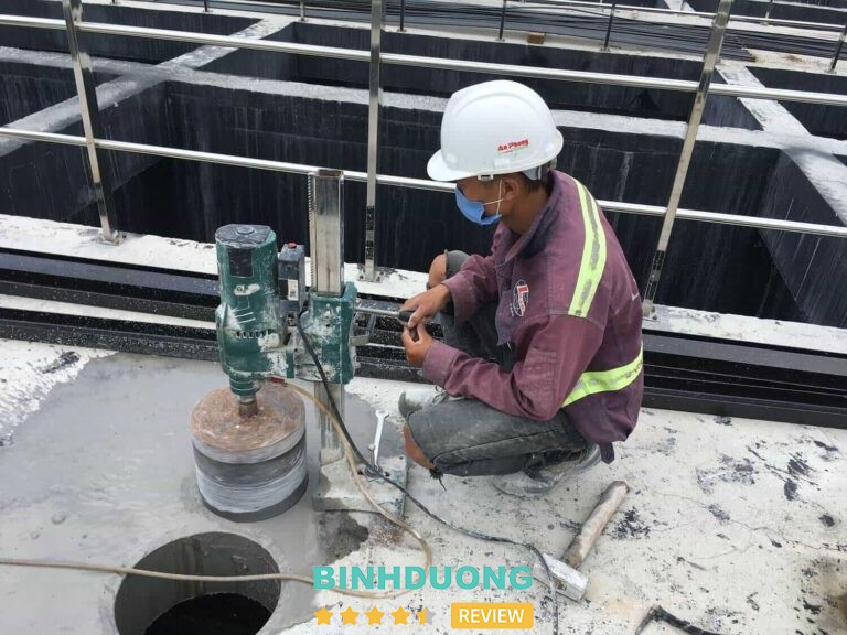 Công Ty Nguyễn Hùng, Bình Dương