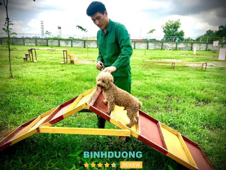 Trường Huấn Luyện Chó Nghiệp Vụ Quốc Khuyển 577, Bình Dương