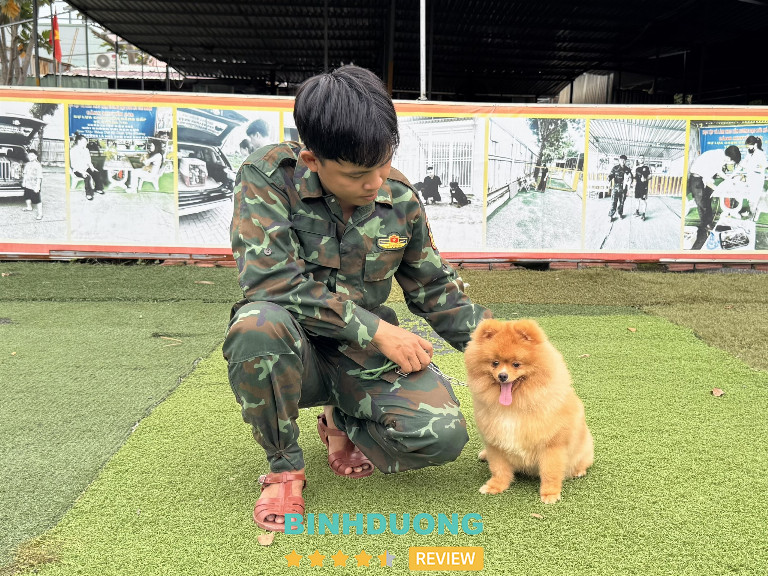 Trường Huấn Luyện Chó Nghiệp Vụ Quốc Khuyển 24H, Bình Dương