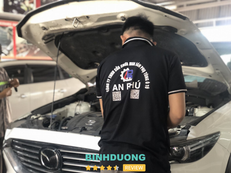 Auto An Phú, Bình Dương