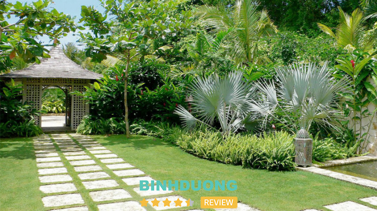 Công Ty Bình Dương Landscape, Bình Dương