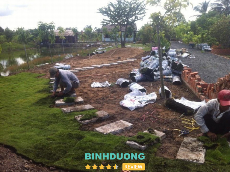 Công Ty Long Hiệp Phát, Bình Dương