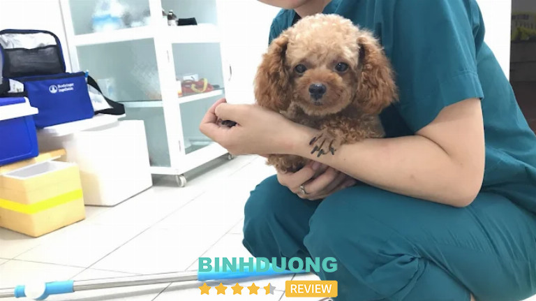 Phòng Khám Thú Y Xíu Pet, Thủ Dầu Một