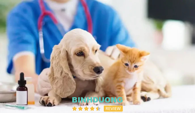 Phòng Khám Thú Y Trâm Anh, Thủ Dầu Một