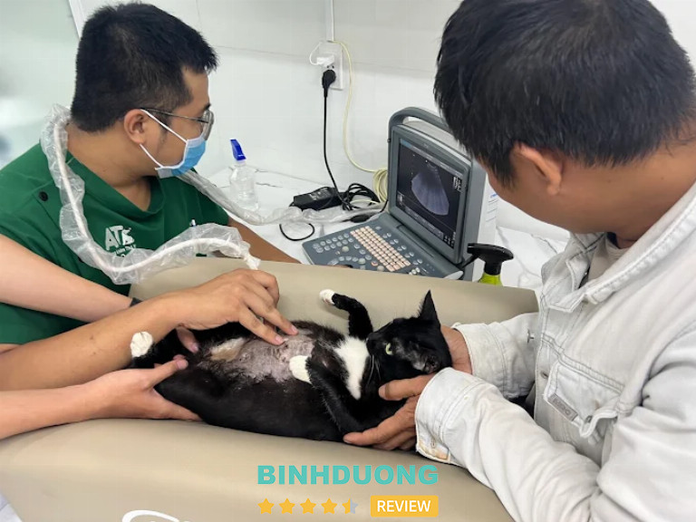 Phòng Khám Thú Y AT Pet Care, Thủ Dầu Một