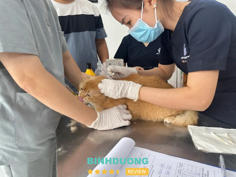 Phòng Khám Thú Y Pet Garden, Thủ Dầu Một