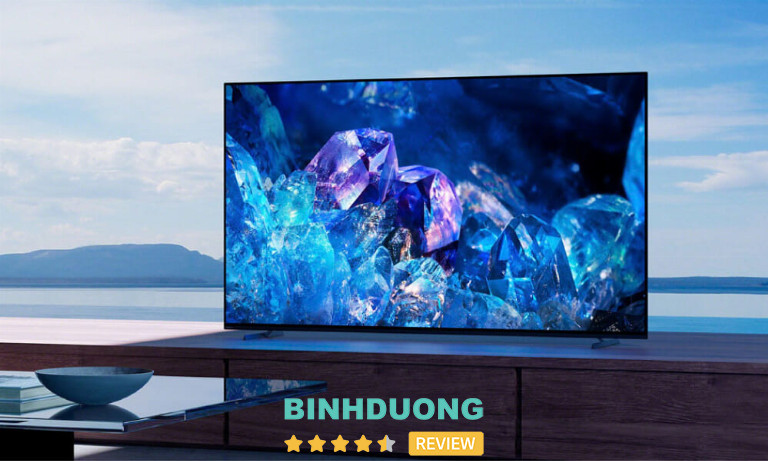 Điện Máy Đại Việt, Bình Dương