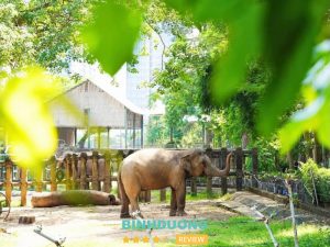 Thảo cầm viên là Điểm vui chơi giúp trẻ em khám phá thế giới tự nhiên